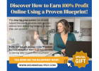 When I started making $900 daily pay, I knew I found the real deal!