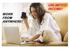 Access to multiple income streams